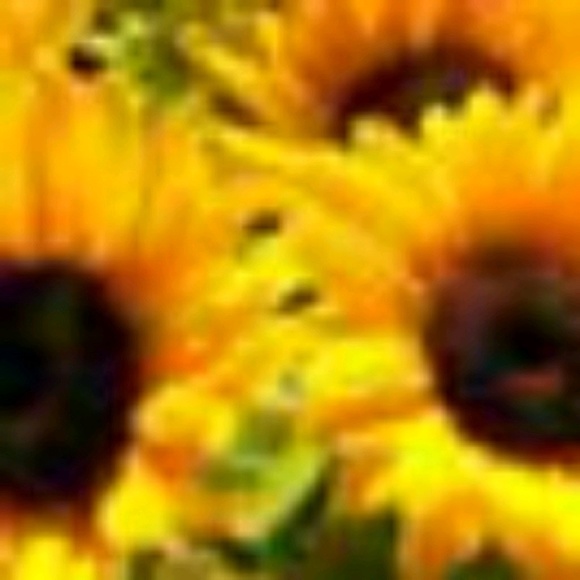 Meet your Posher, Ronda - Picture 1 of 1